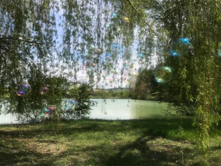 Chalet Au Milieu De La Foret Avec Lac A Proximite Layrac المظهر الخارجي الصورة